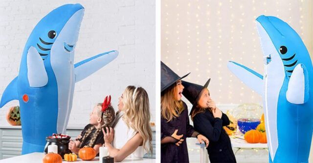 Halloween Affordable